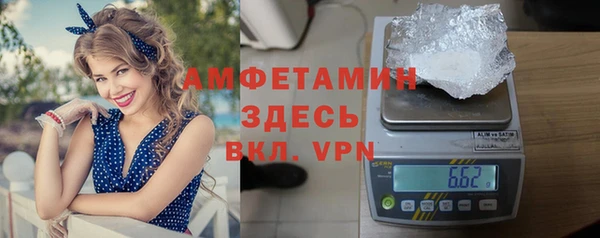 МДПВ Бородино