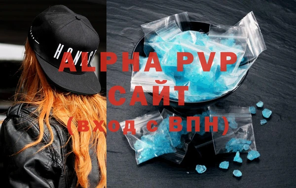 МДПВ Бородино