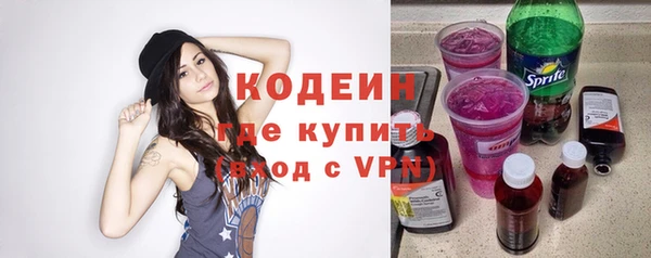 МДПВ Бородино