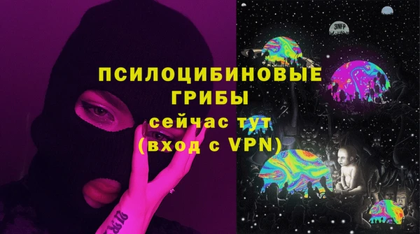 МДПВ Бородино