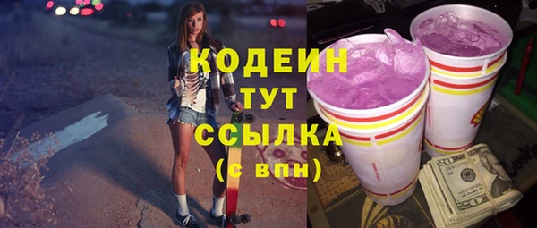МДПВ Бородино