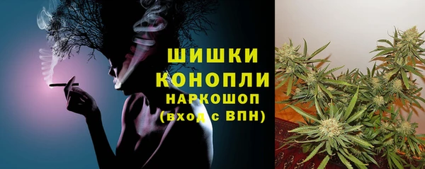 стаф Струнино